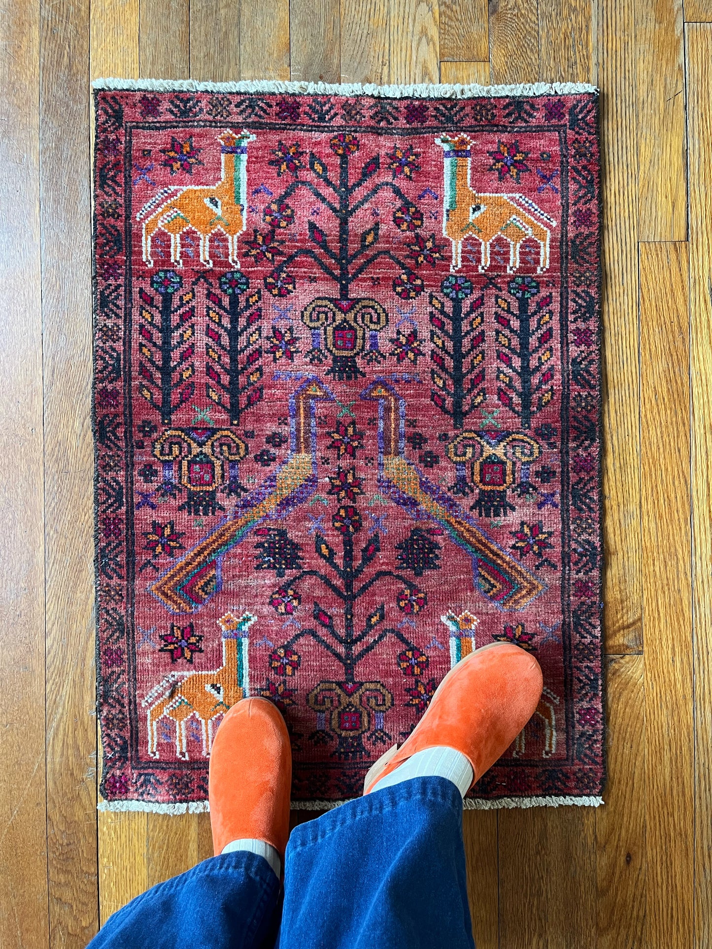 Taus Vintage Persian Rug