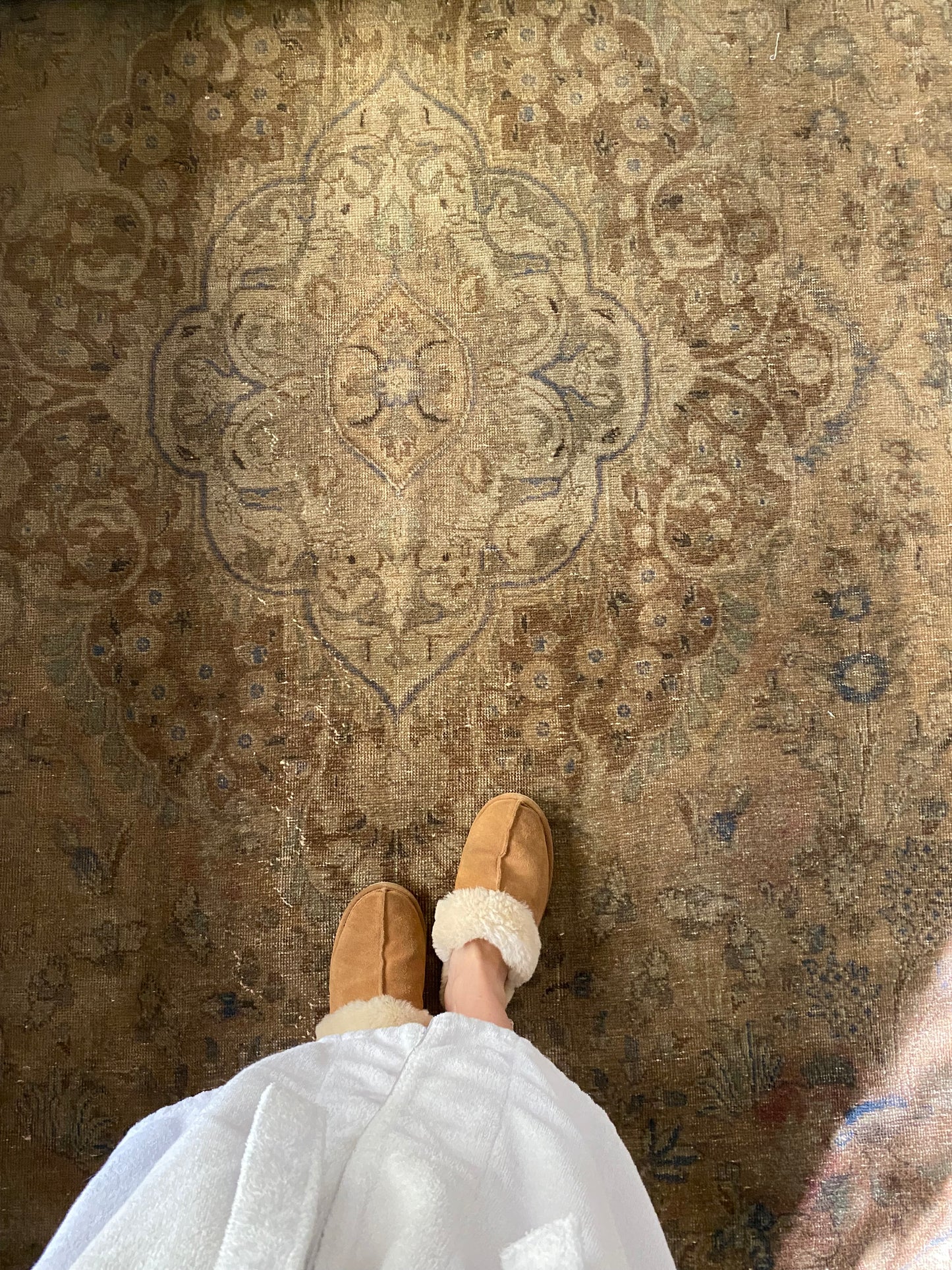 Baz Vintage Persian Area rug