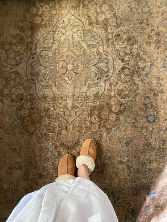 Baz Vintage Persian Area rug