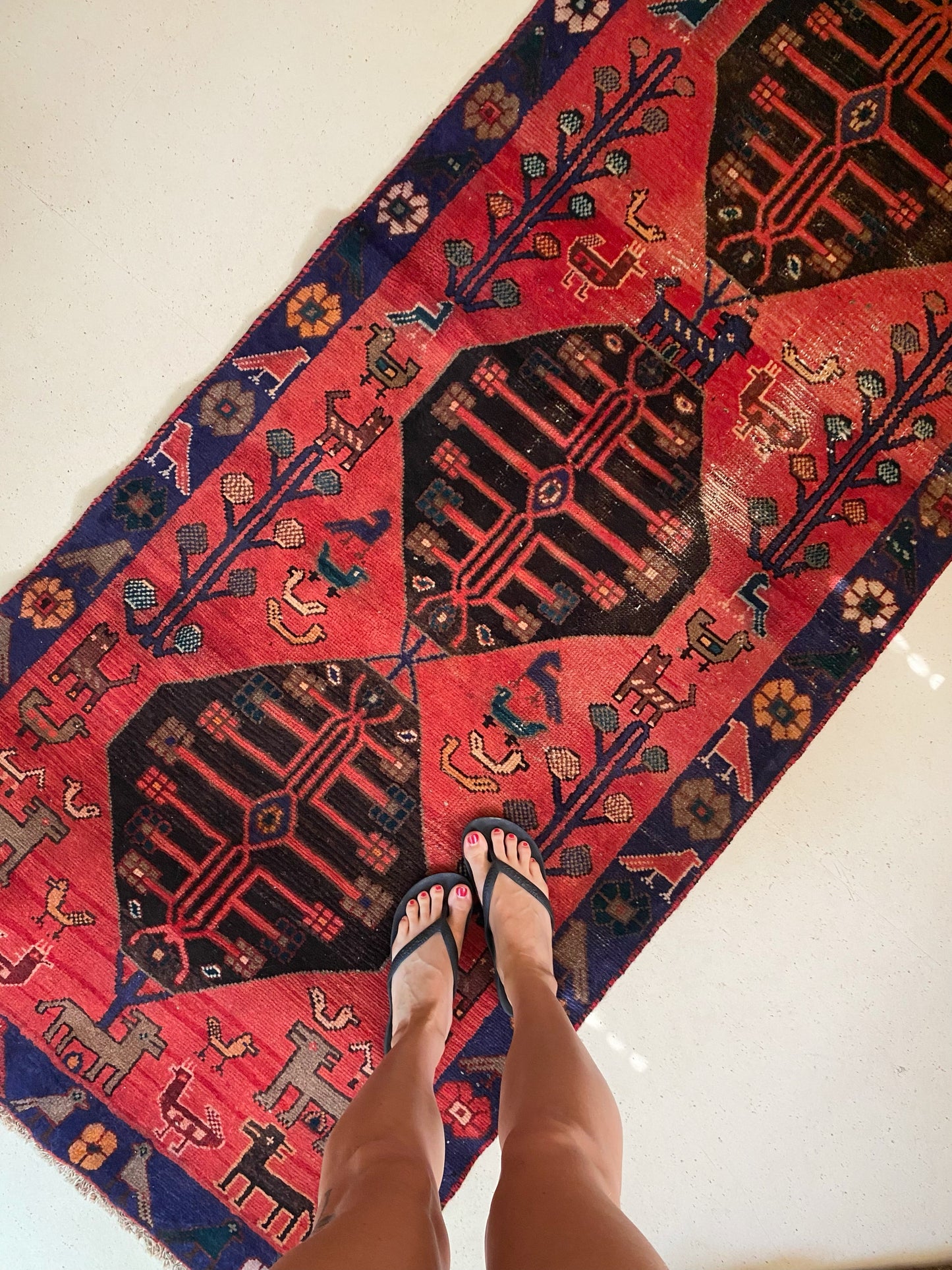 Zinnia Red Vintage Persian Runner