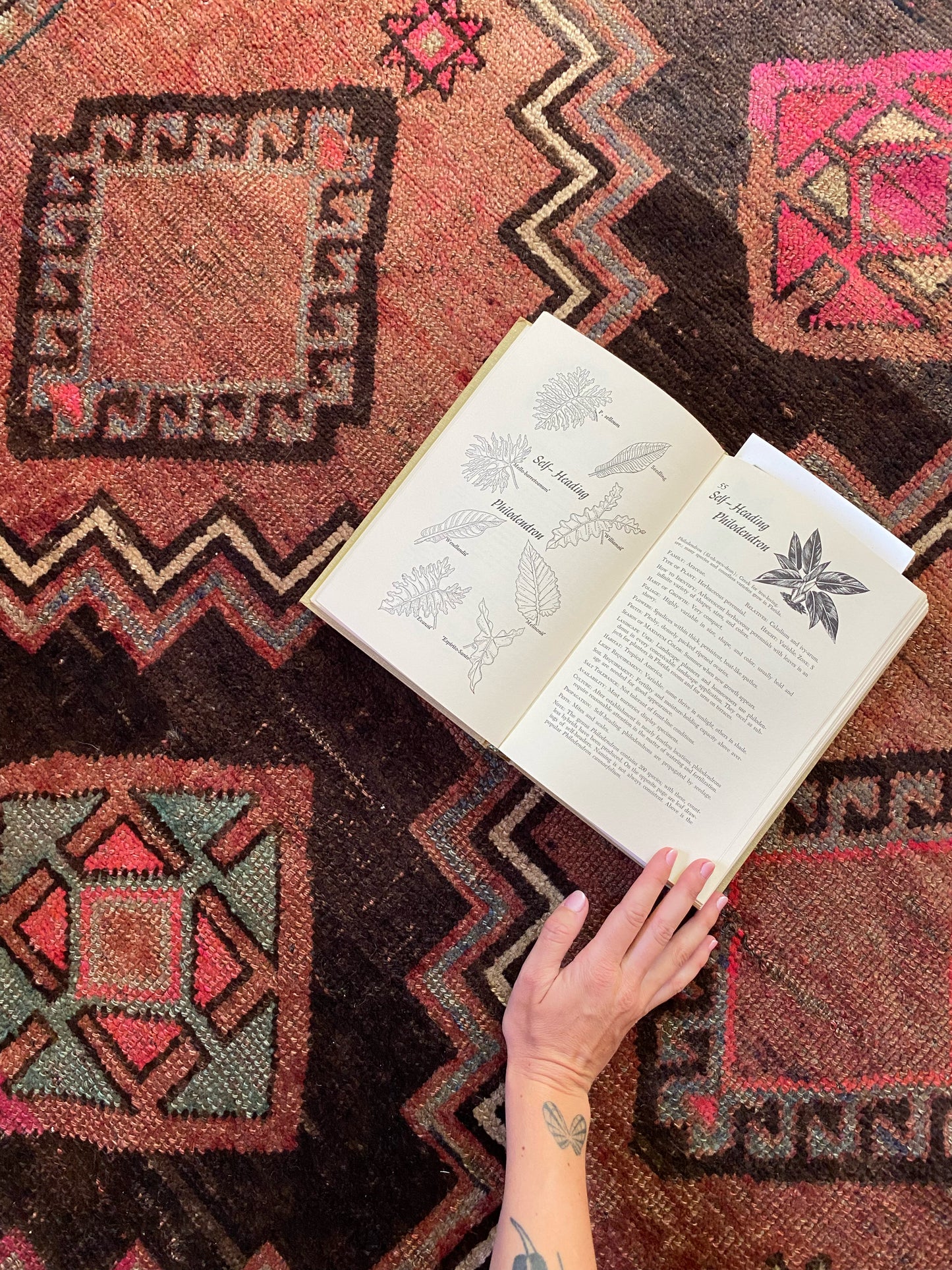 Mimosa Persian Rug