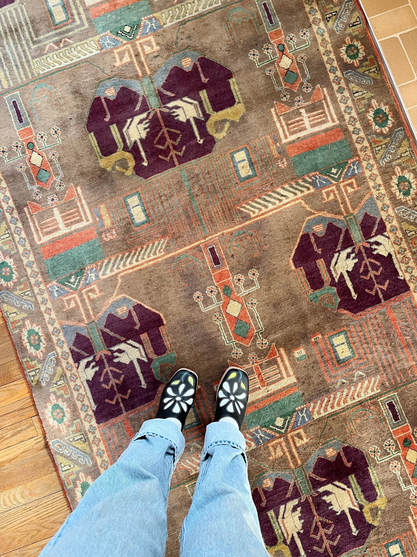 See Cordia Persian Rug from Overhead
