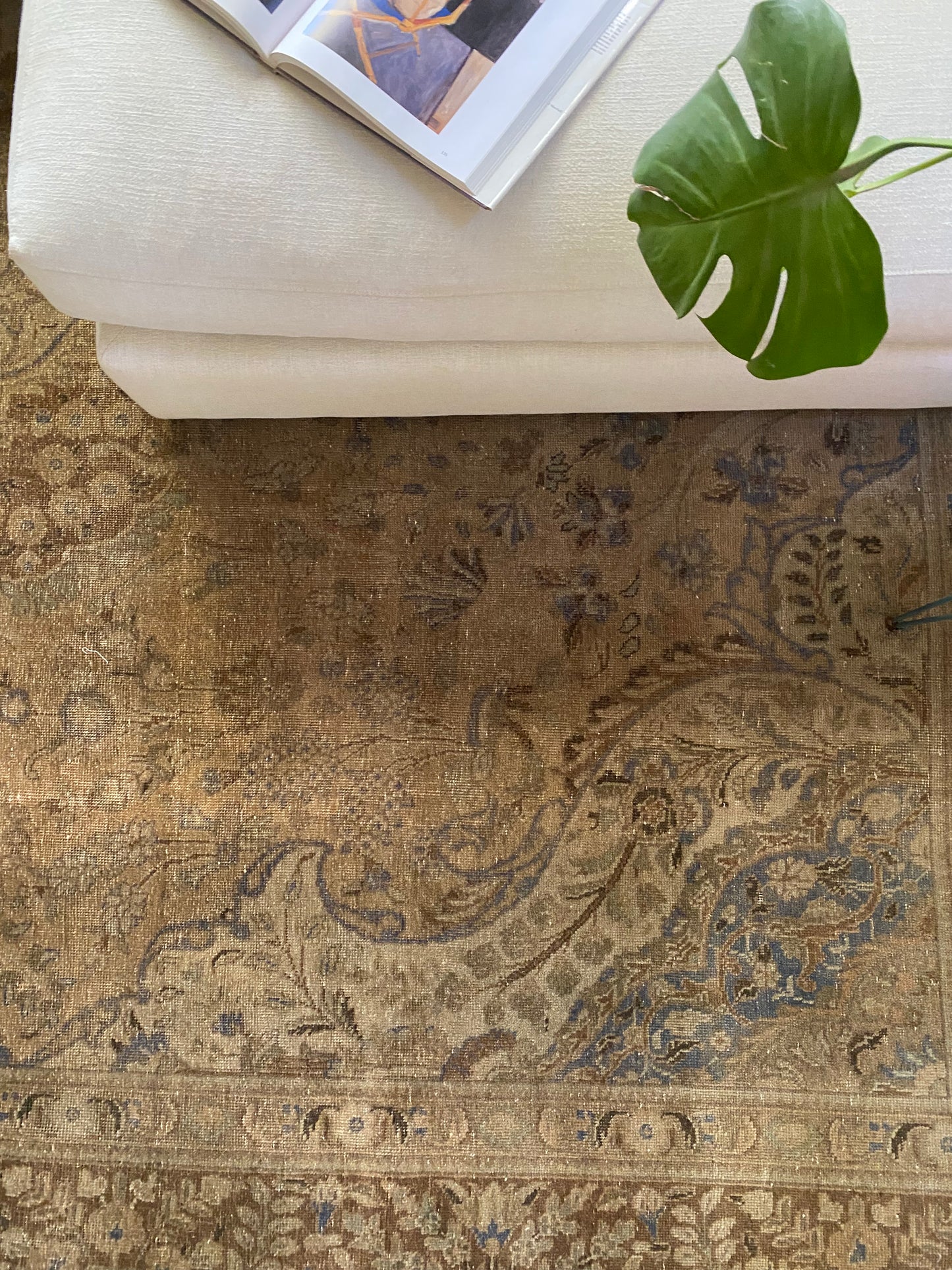 Baz Vintage Persian Area rug