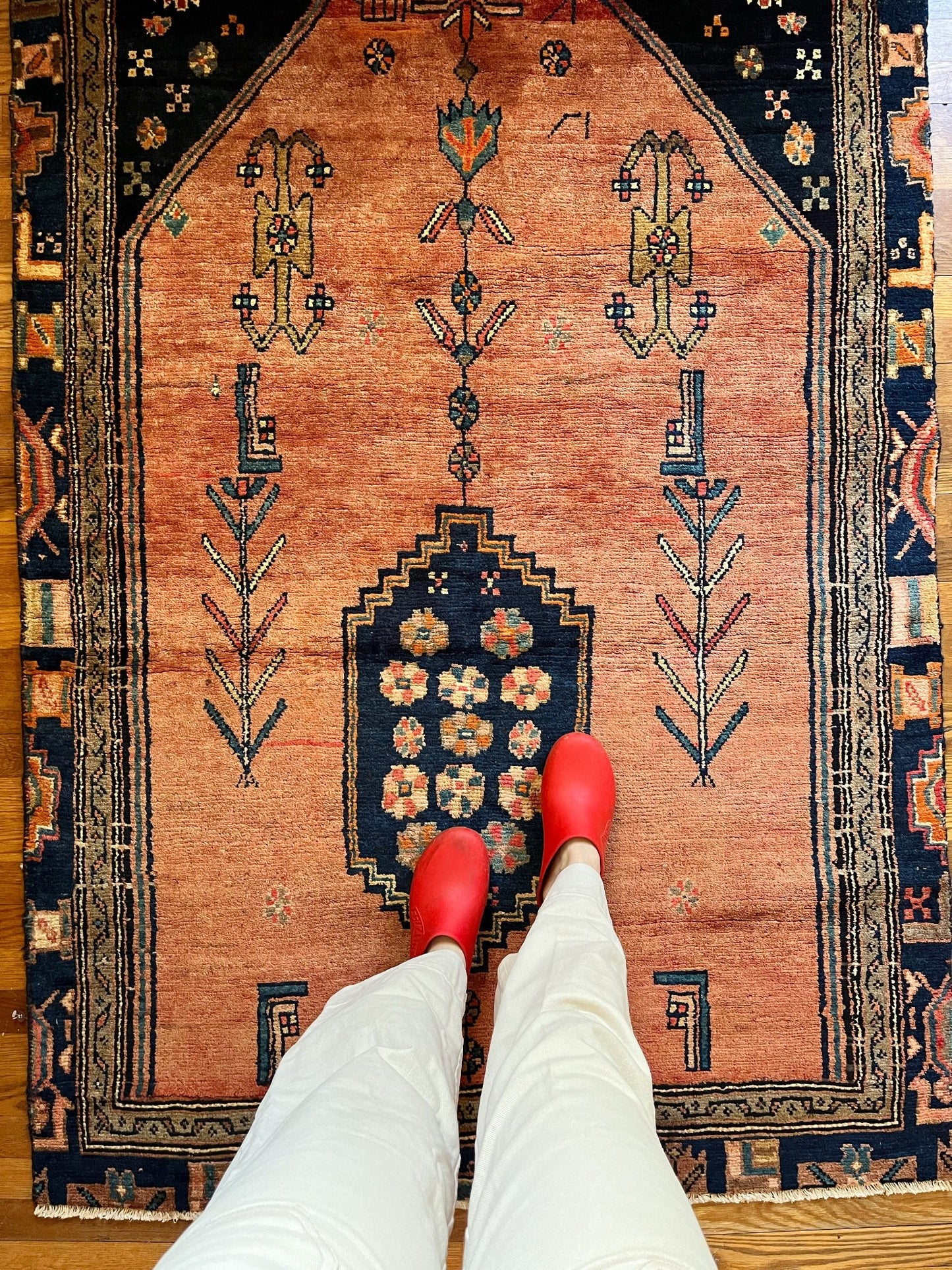 See Details and Motifs of Vintage Persian Area Rug