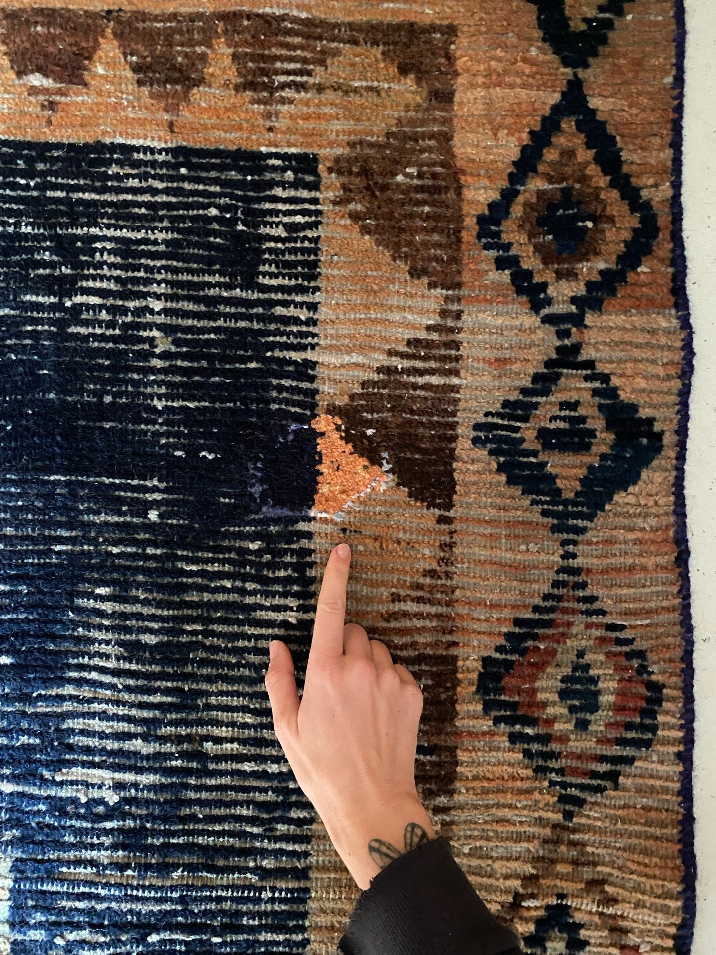See Mend in Zamia Persian Rug