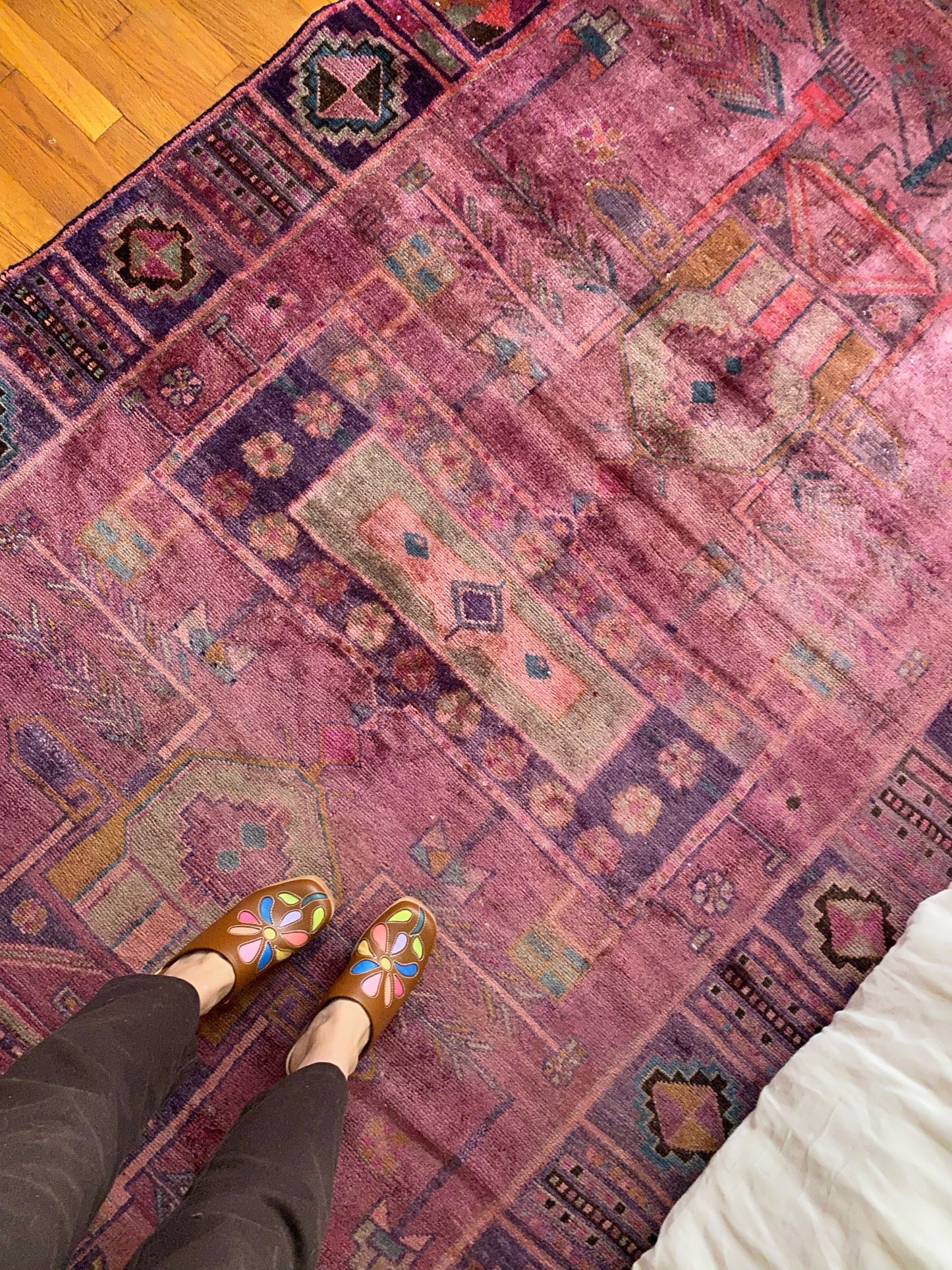 See Details of Pachira Persian Rug