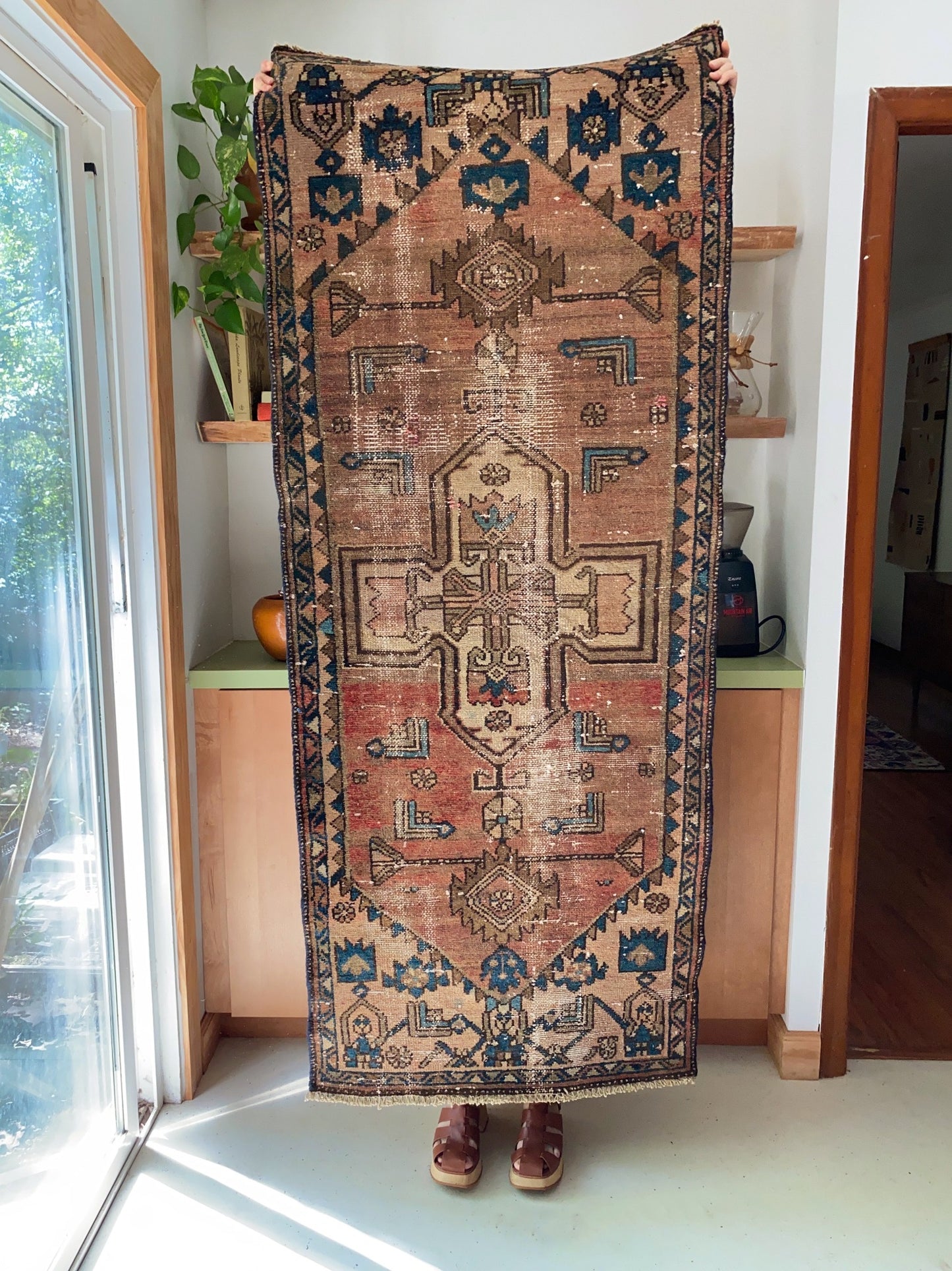 See Citrus Persian Runner