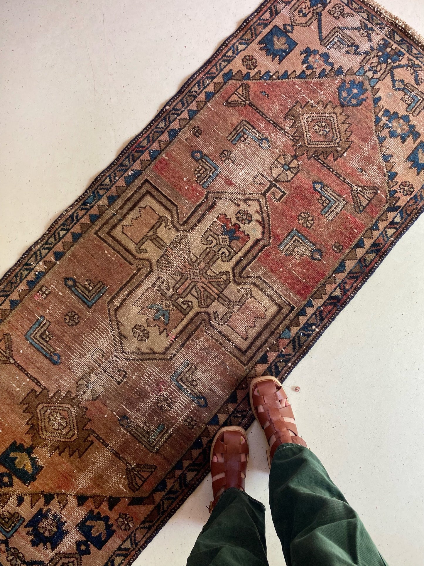 See Details of Citrus Persian Runner