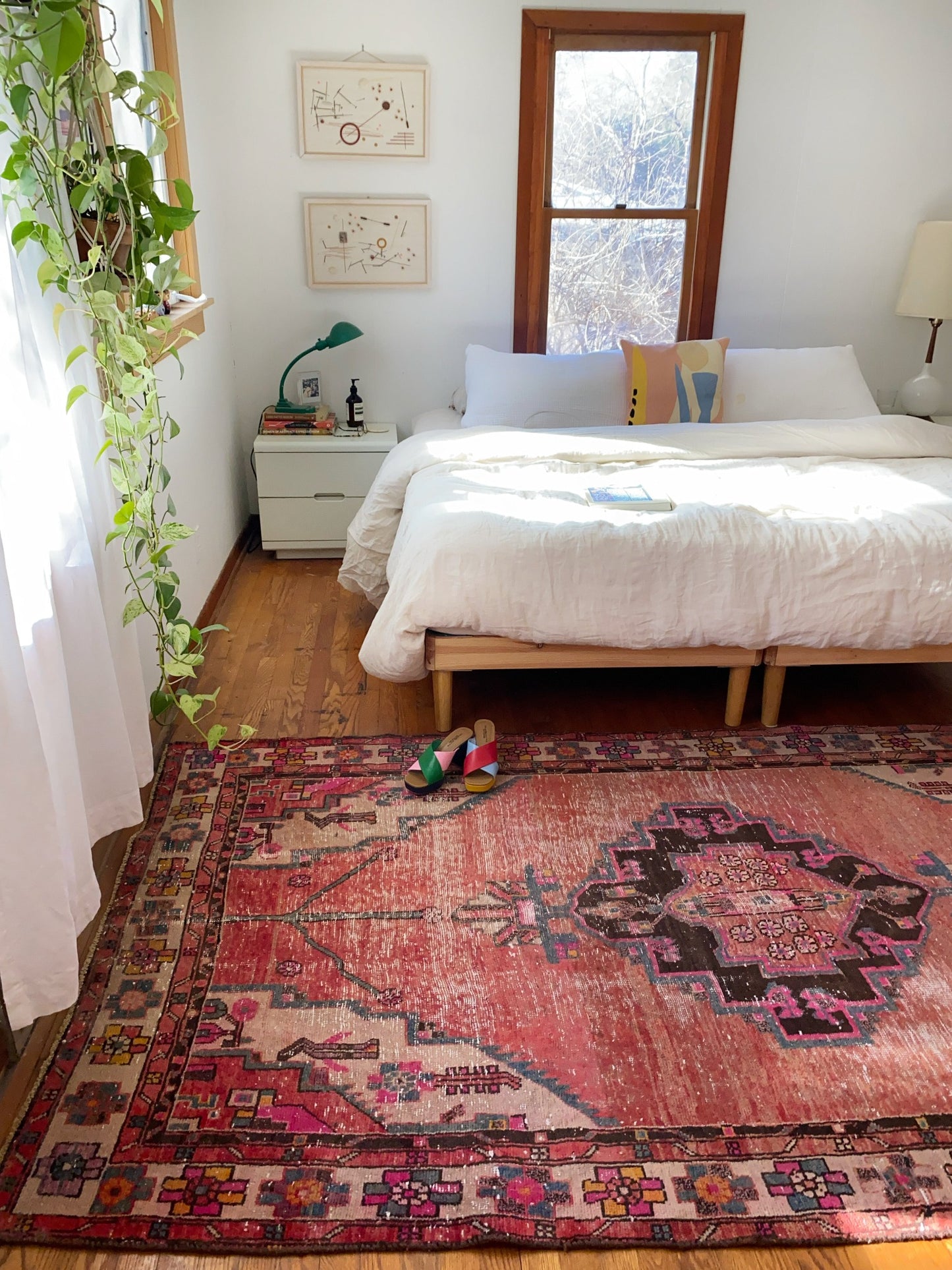 See Edge of Solanum Persian Rug