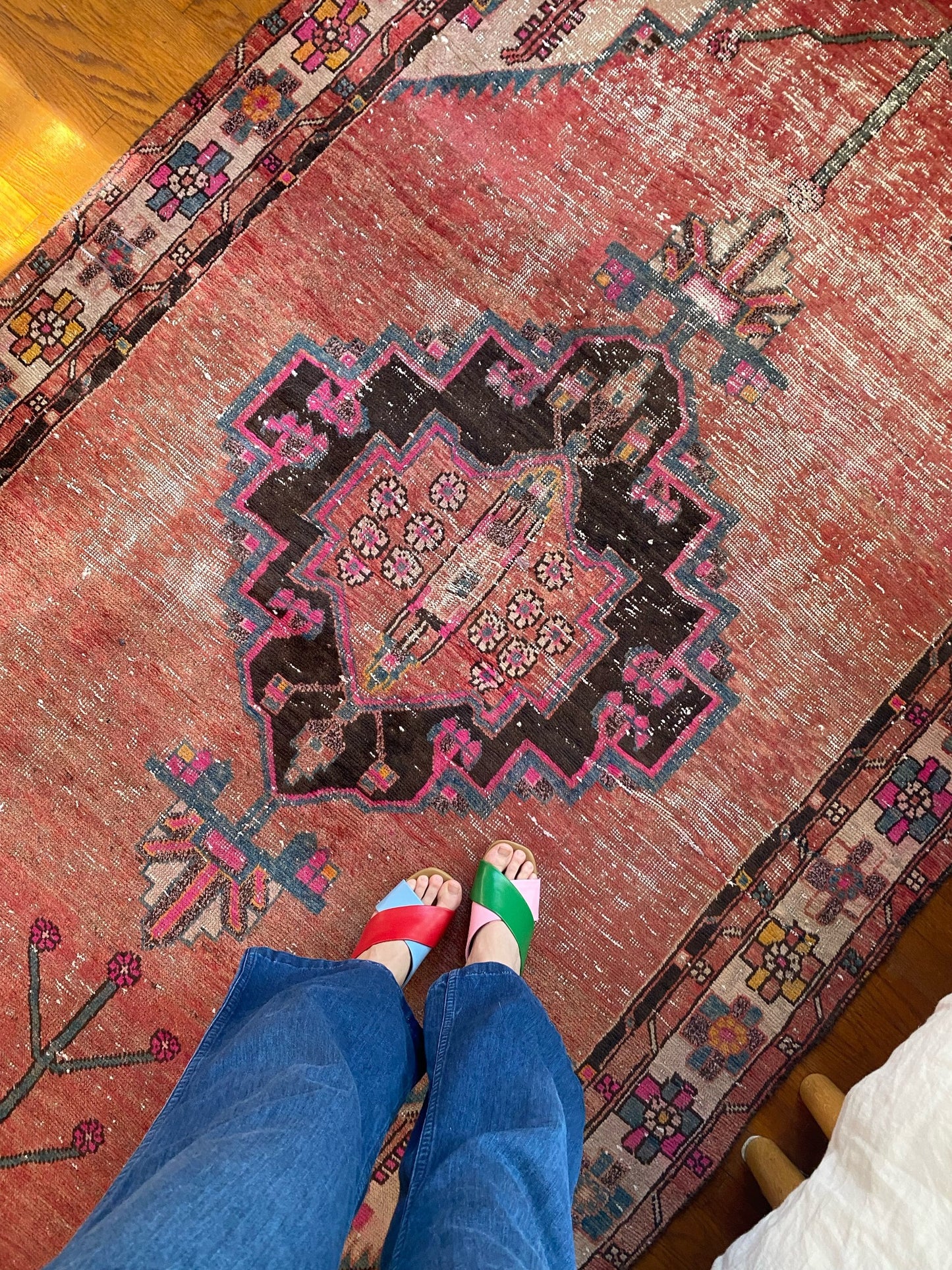 See Solanum Persian Rug from Overhead