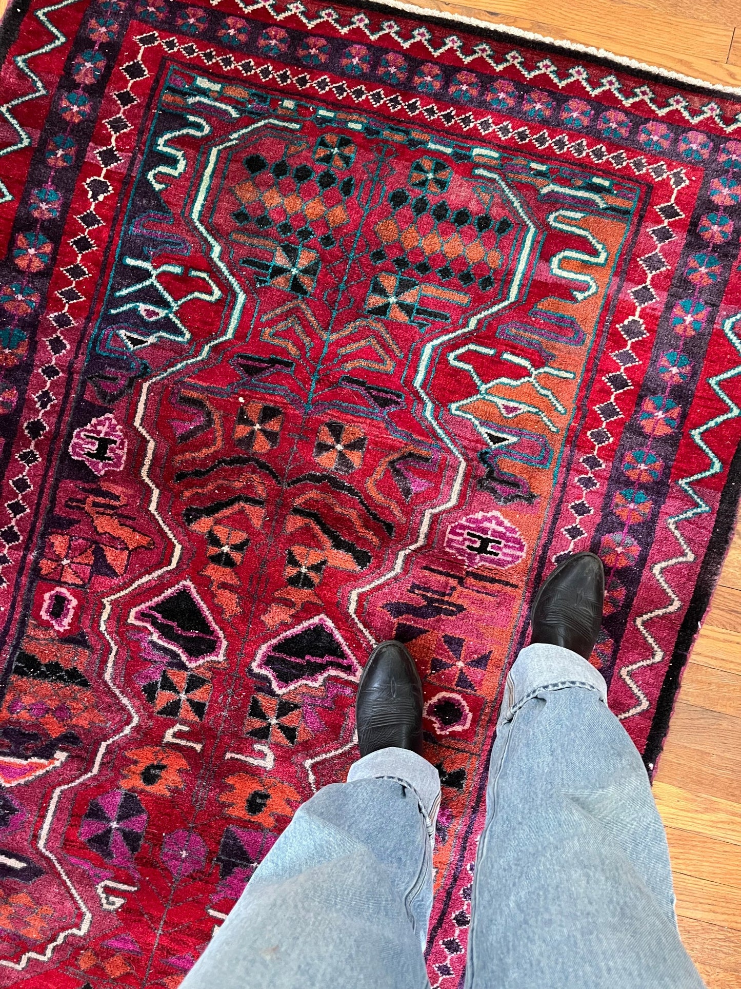 See Rosa Persian Rug from Overhead