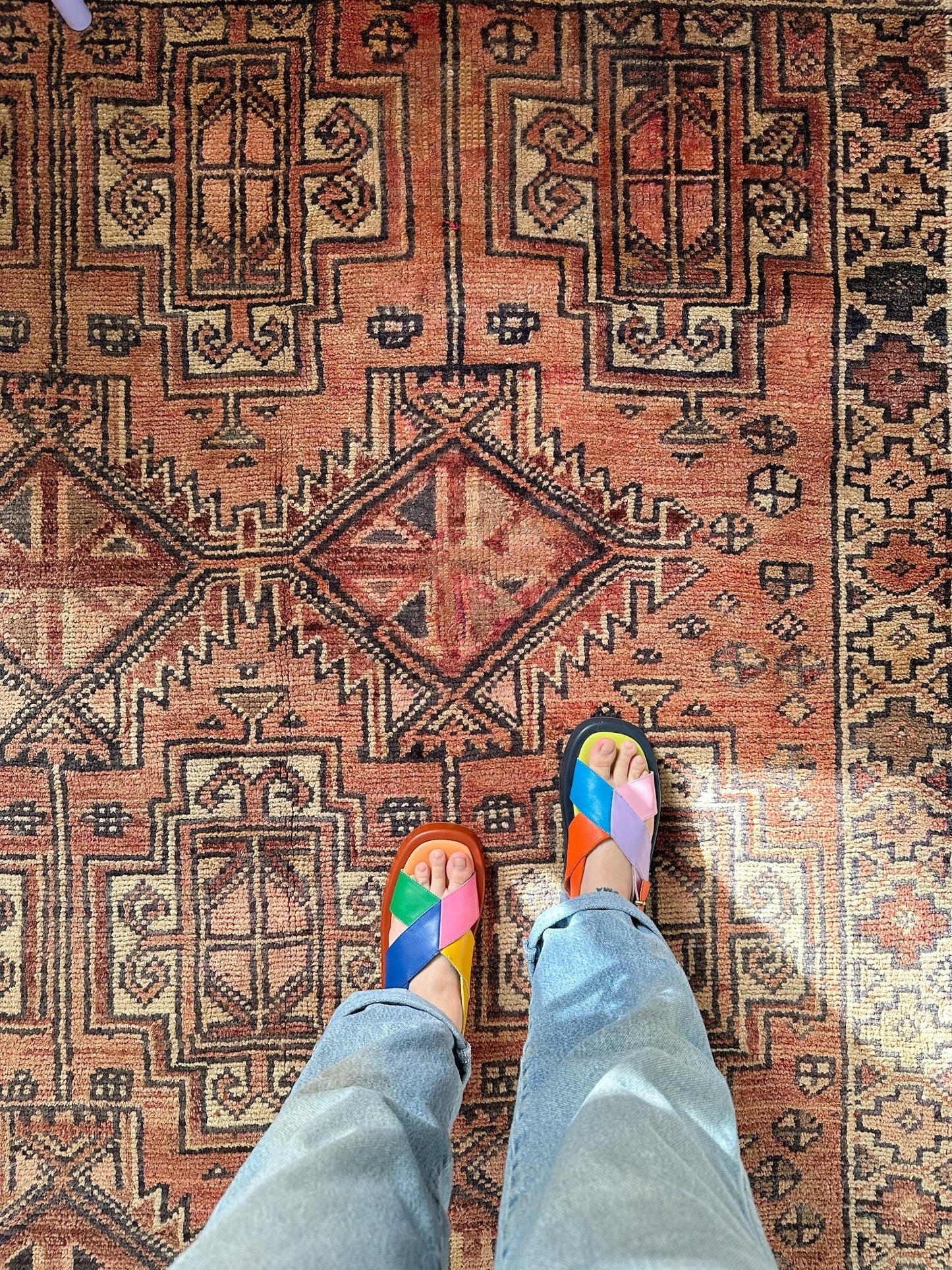 See Details and Motifs on Earthy Vintage Rug
