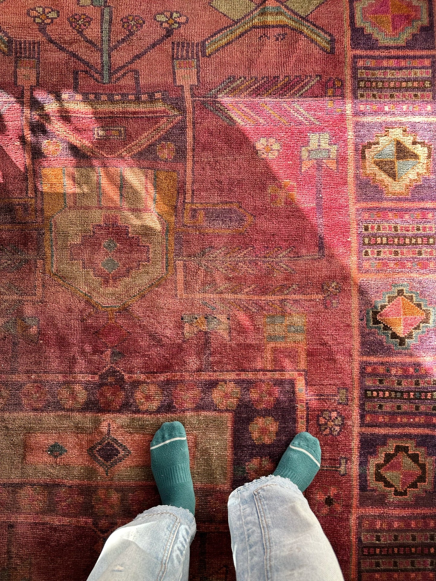 See Details of Pachira Persian Rug