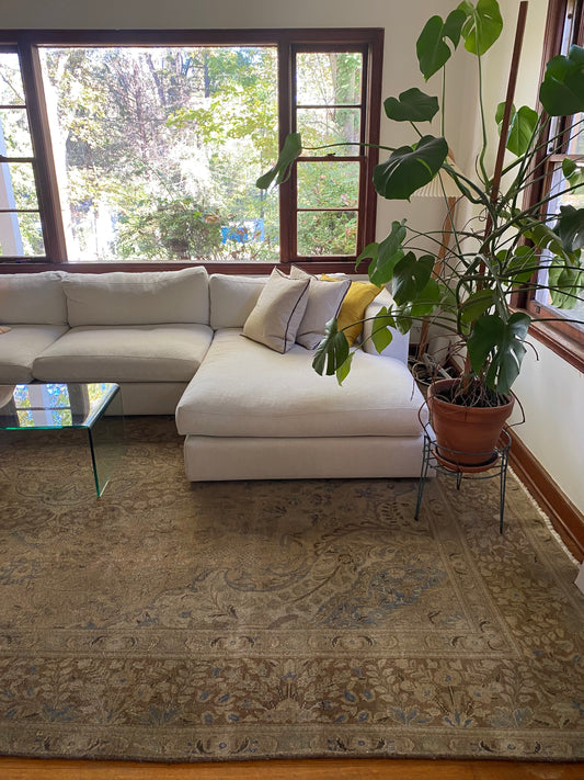 Baz Vintage Persian Area rug