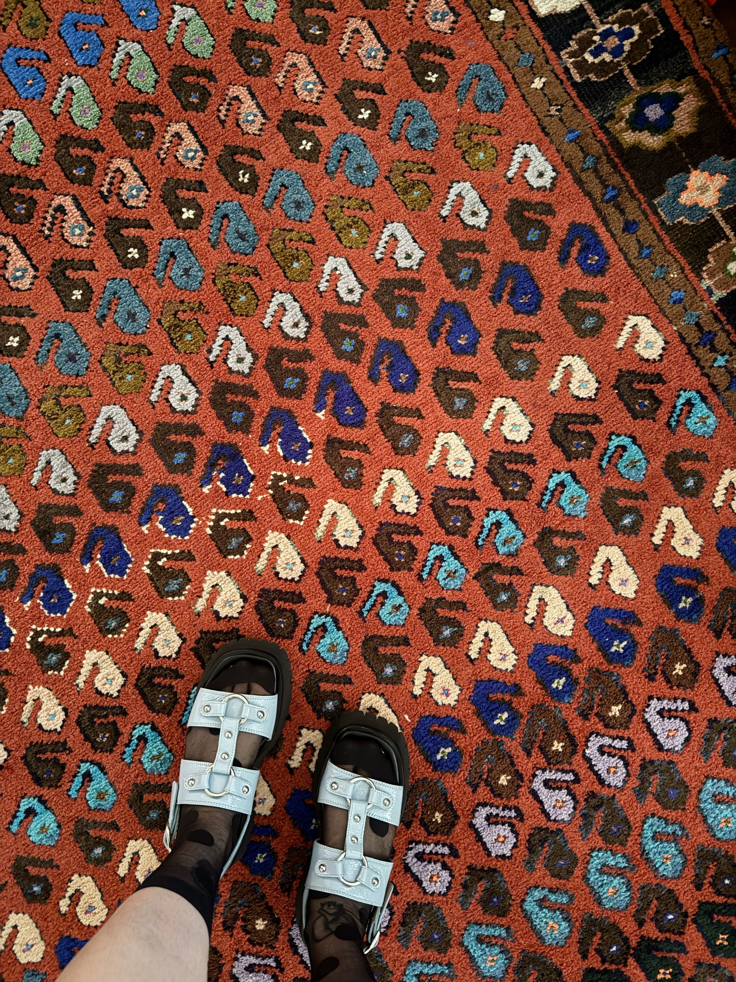 Emme Boteh Vintage Persian Rug
