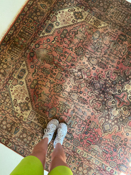Frida Vintage Persian Area Rug