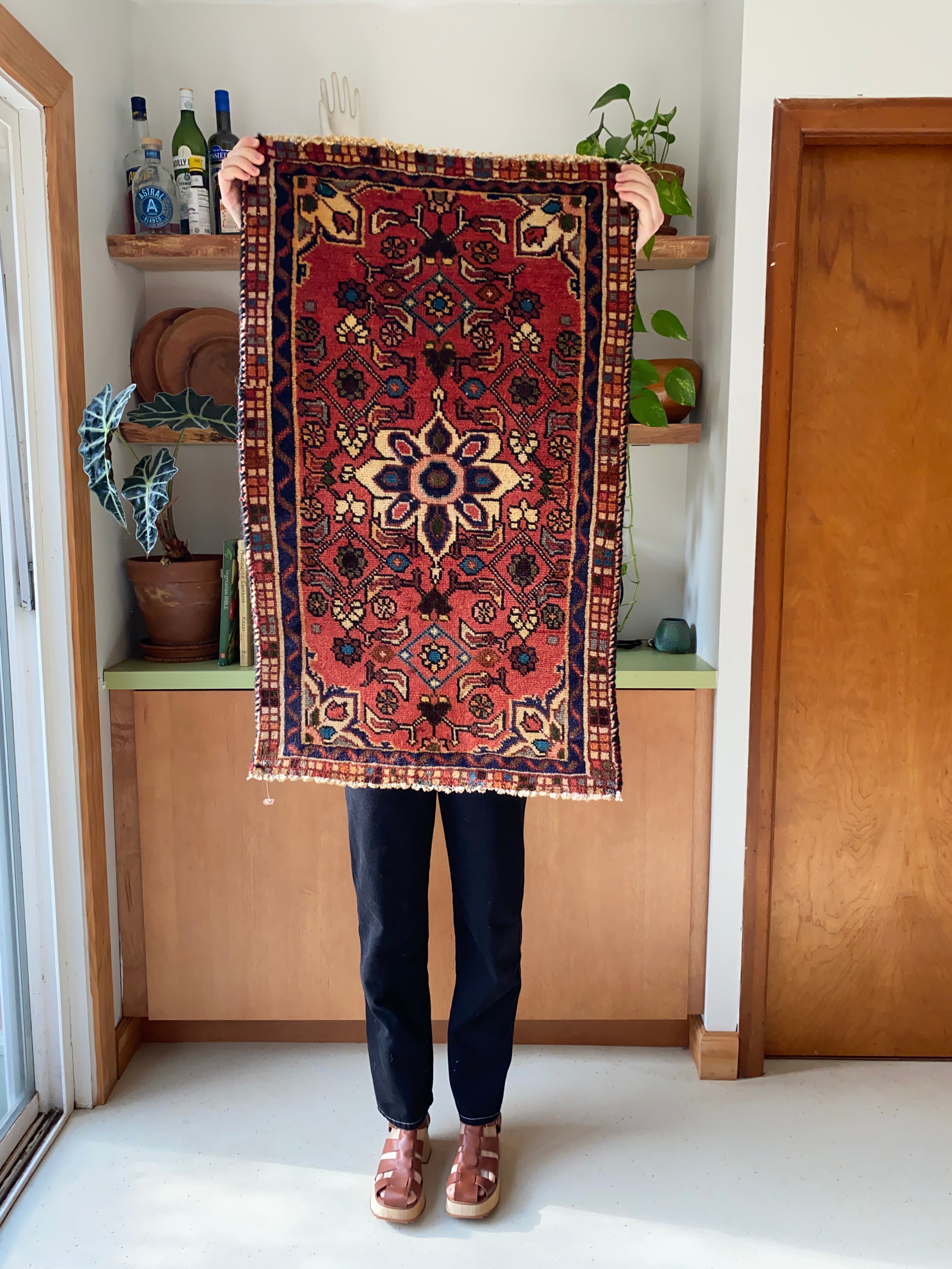 Aquarius Vintage Mini Persian Rug | Lost Hunt Vintage