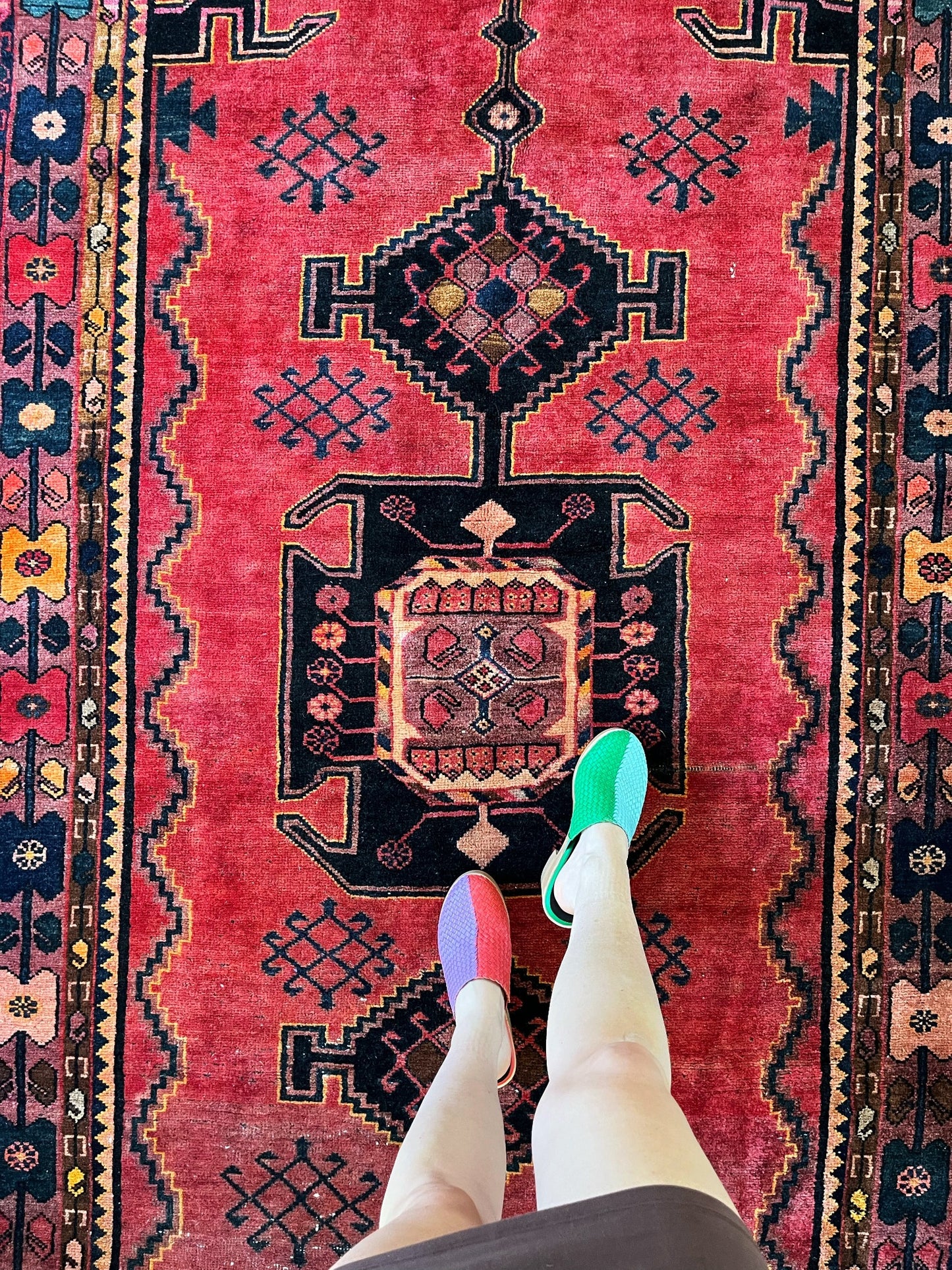 See Colorful Motifs and Details on Vintage Persian Area Rug