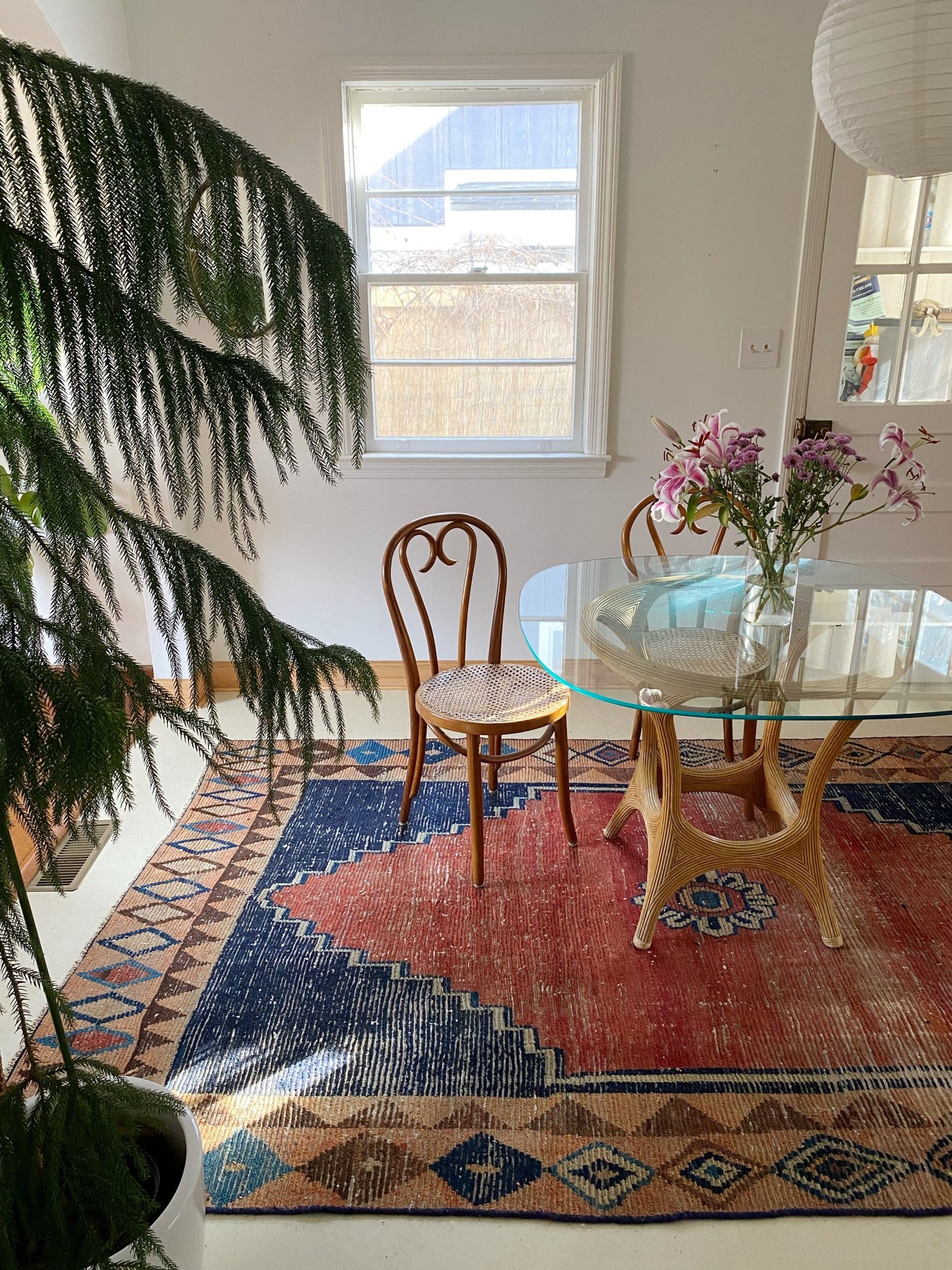 See Zamia pink Persian Rug Styled in a Dining Room